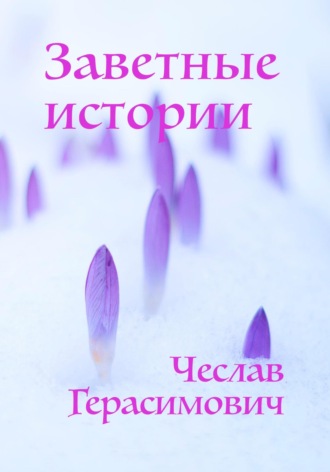 Чеслав Эдуардович Герасимович. Заветные истории