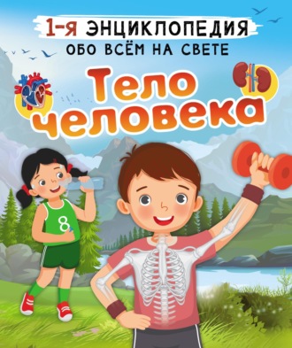 Тело человека. 