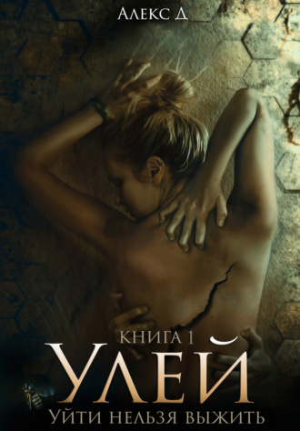 Улей. 
