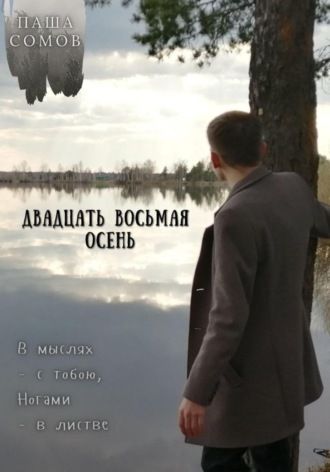 Двадцать восьмая осень. Паша Сомов