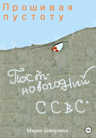 Прошивая пустоту. Постновогодний ССВС. 