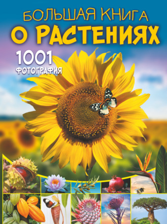 Большая книга о растениях. 1001 фотография. 