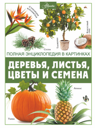 А. А. Спектор. Деревья, листья, цветы и семена