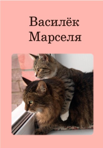 Василёк Марселя. Жанна Кольцова