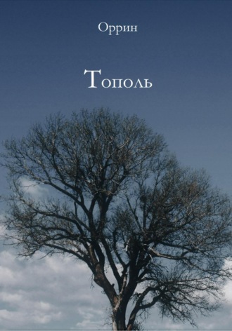 Тополь. 
