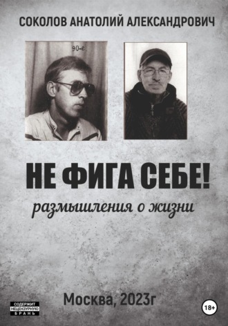Соколов Анатолий. Не фига себе! Размышления о жизни