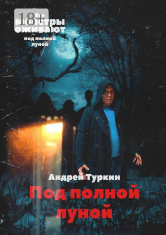 Под полной луной. Андрей Юрьевич Туркин