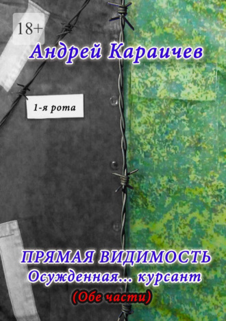 Андрей Караичев. Прямая видимость. Осужденная… курсант