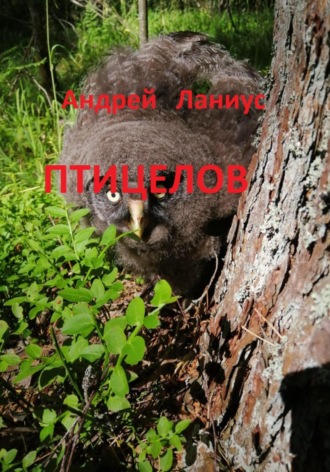 Андрей Ланиус. Птицелов