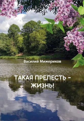 Василий Мижериков. Такая прелесть – жизнь