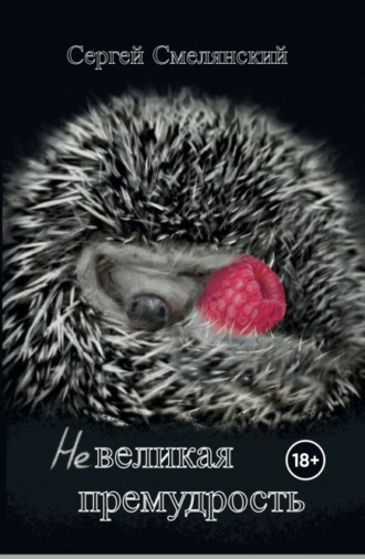 Сергей Смелянский. Невеликая премудрость