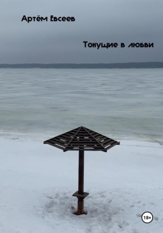 Артём Сергеевич Евсеев. Тонущие в любви