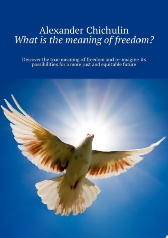 What is the meaning of freedom? Discover the true meaning of freedom and re-imagine its possibilities for a more just and equitable future. 