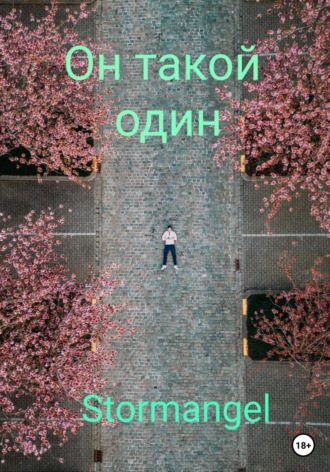Он такой один. Stormangel