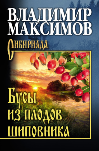 Бусы из плодов шиповника. Владимир Максимов