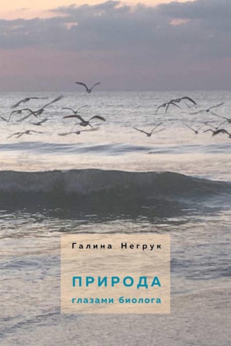 Галина Негрук. Природа глазами биолога