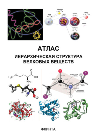 В. В. Литвяк. Атлас: иерархическая структура белковых веществ