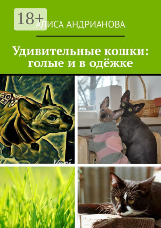 Удивительные кошки: голые и в одёжке. Сказка для взрослых детей. Алиса Андрианова