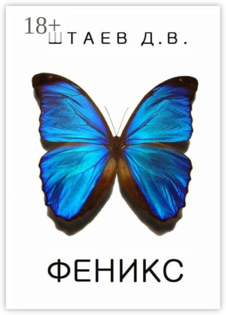 Денис Викторович Штаев. Феникс