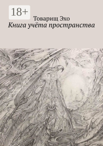 Книга учёта пространства. Товарищ Эхо