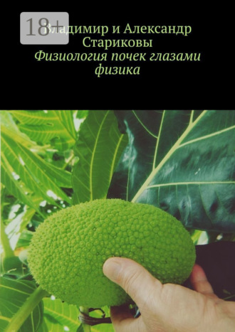 Физиология почек глазами физика. Александр Владимирович Стариков