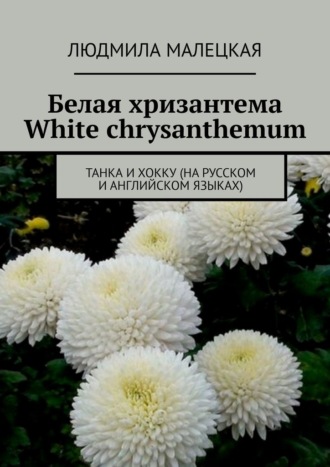 Людмила Малецкая. Белая хризантема. White chrysanthemum. Танка и хокку (на русском и английском языках)