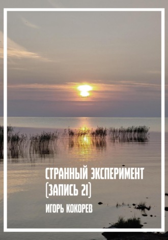 Странный эксперимент. Запись 21. Игорь Кокорев