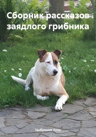 Анна Николаевна Цыбульник. Сборник рассказов заядлого грибника
