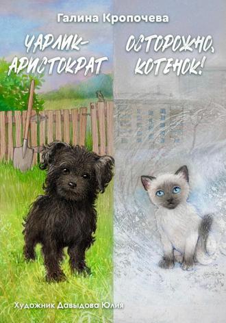 Галина Кропочева. Чарлик-аристократ. Осторожно, котенок!