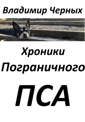 Хроники Пограничного Пса. Владимир Романович Черных