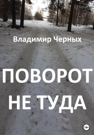 Владимир Романович Черных. Поворот не туда