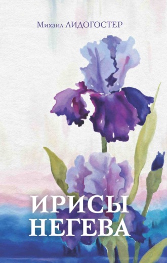 Ирисы Негева. Михаил Лидогостер