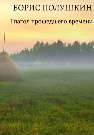 Глагол прошедшего времени. Борис Полушкин