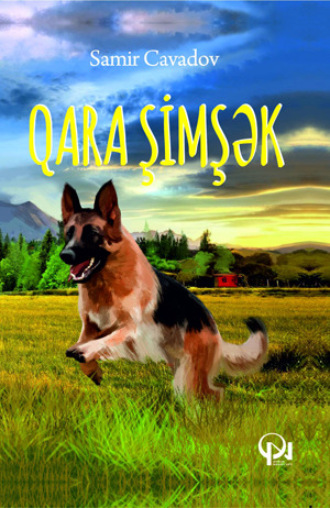 Qara Şimşək. Samir Cavadov