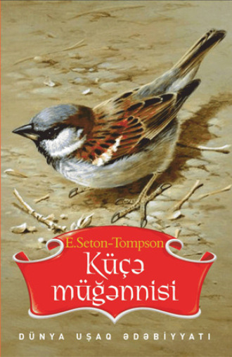 KÜÇƏ MÜĞƏNNİSİ. 