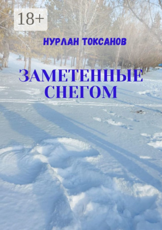 Нурлан Токсанов. Заметенные снегом