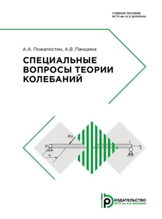 А. В. Паншина. Специальные вопросы теории колебаний