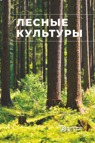 Лесные культуры. 