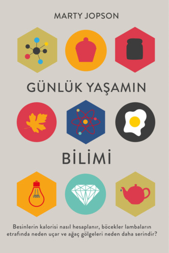 Günlük yaşamın bilimi. Marty Jopson