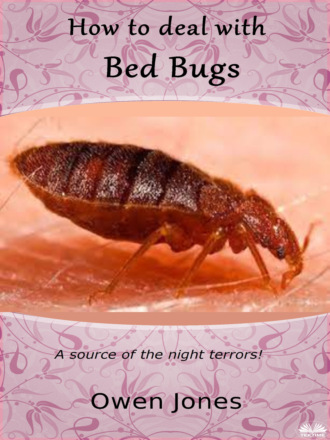 Оуэн Джонс. How To Deal With Bed Bugs
