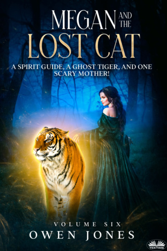 Оуэн Джонс. Megan And The Lost Cat