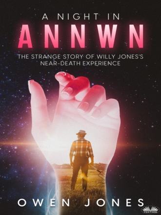 Оуэн Джонс. A Night In Annwn