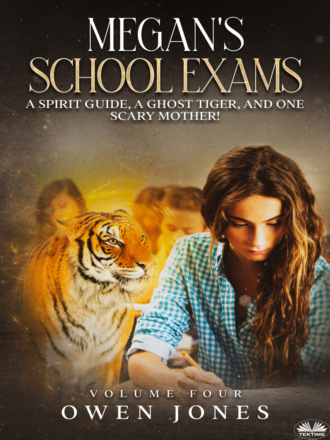 Оуэн Джонс. Megan's School Exams