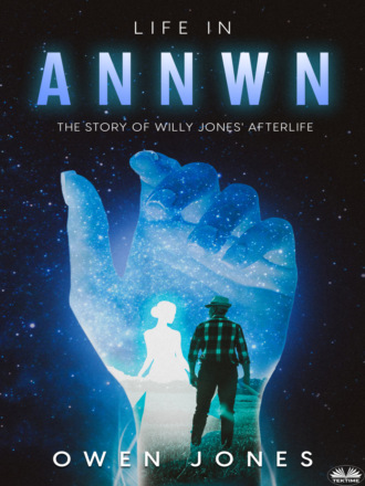 Оуэн Джонс. Life In Annwn