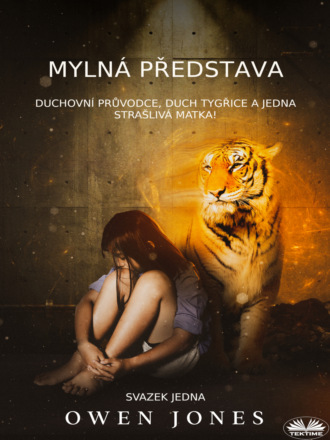 Оуэн Джонс. Mylná Představa