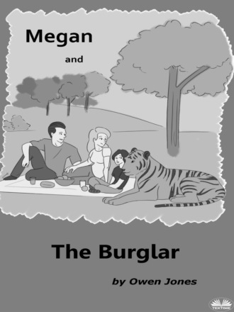 Оуэн Джонс. Megan And The Burglar
