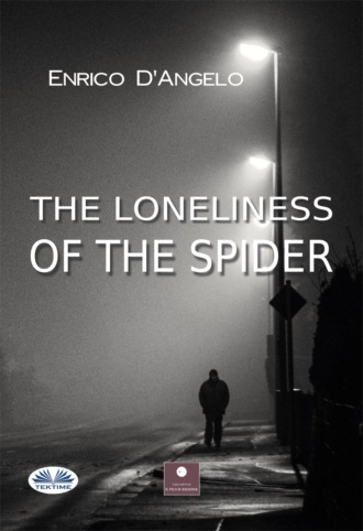 Enrico D'Angelo. THE LONELINESS OF THE SPIDER