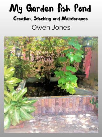 Оуэн Джонс. My Garden Fish Pond