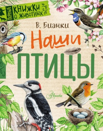Наши птицы. 