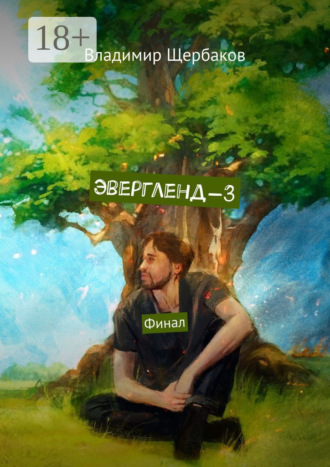Владимир Щербаков. Эвергленд-3. Финал